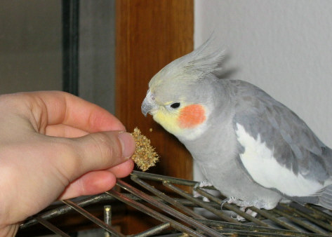 lÃ©on et kiko 3.jpg