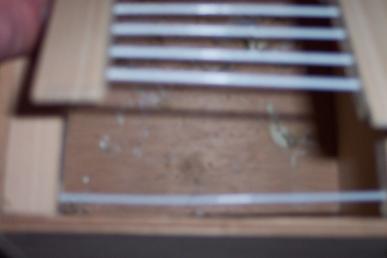 Photo 17 31.01.08.JPG