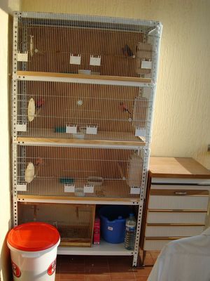 DSC00106 [Desktop Resolution] [].JPG