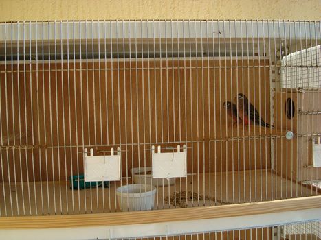 DSC00107 [Desktop Resolution] [].JPG