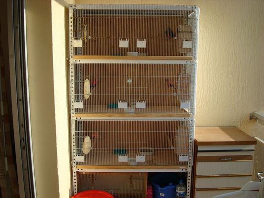 DSC00105 [Desktop Resolution] [].JPG