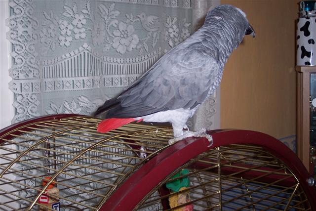 100_1077 (Small).JPG