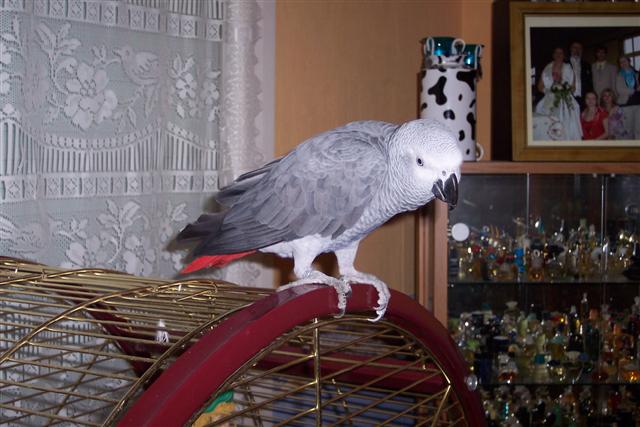 100_1078 (Small).JPG