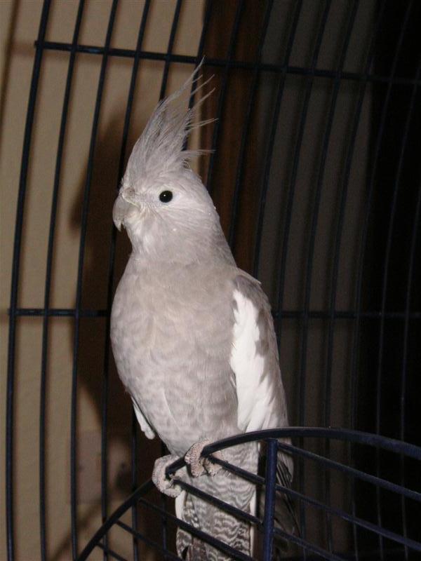 PICT0012 (Medium).JPG