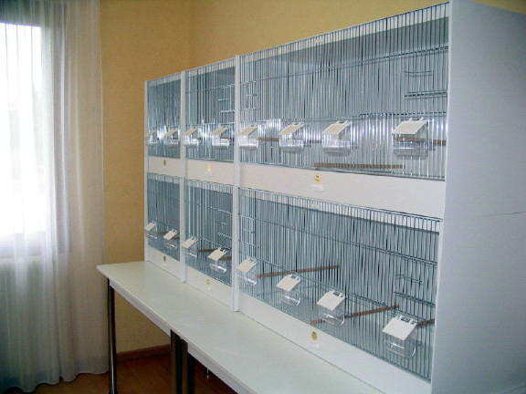 batteries 02_1_1_2_1_4.jpg