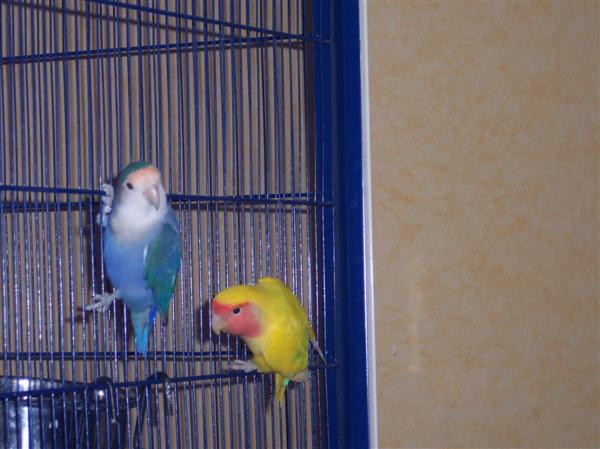 100_5244 (Custom).JPG