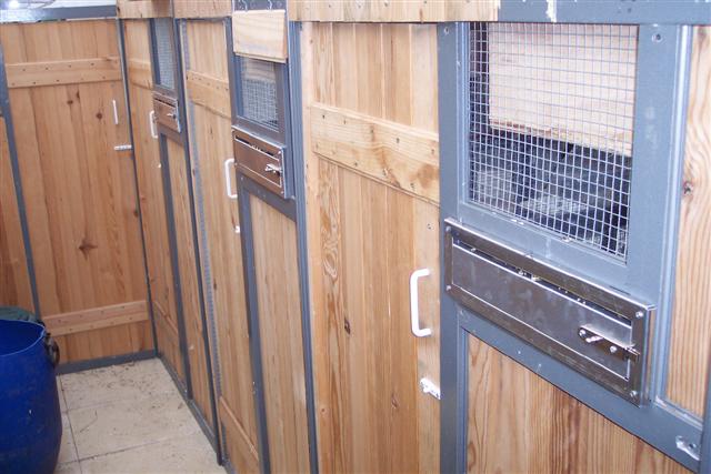 100_1082 (Small).JPG