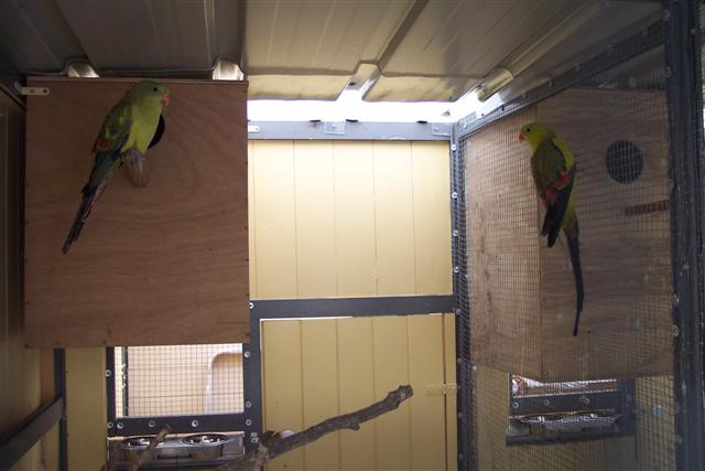 100_1090 (Small).JPG