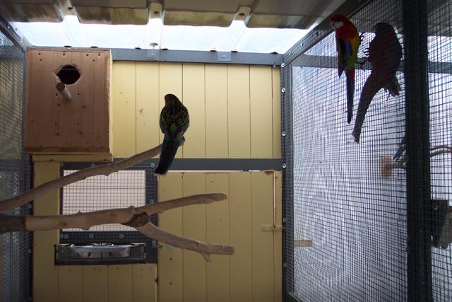 100_1095 (Small).JPG