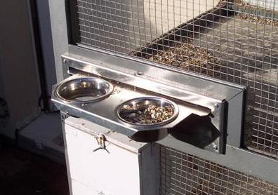 100_1117 (Small) (Small) (Small).JPG