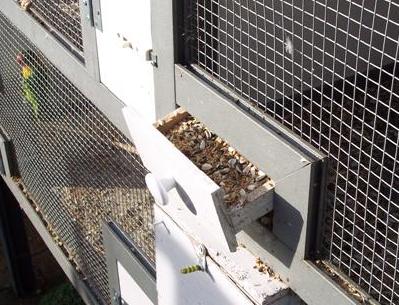 100_1116 (Small).JPG