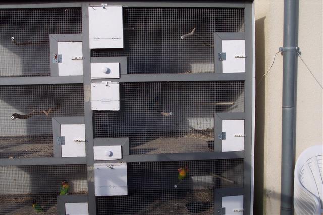 100_1114 (Small).JPG