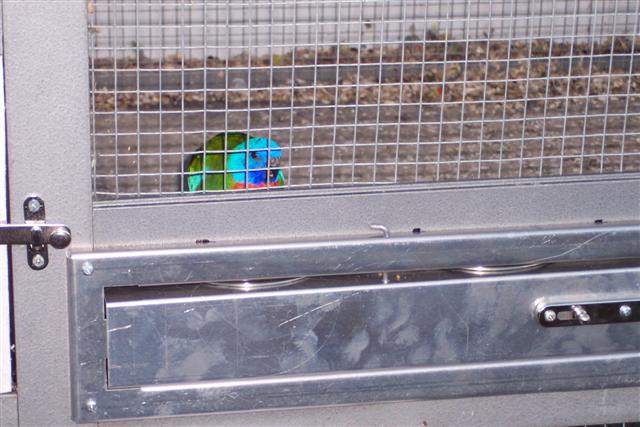 100_1118 (Small).JPG