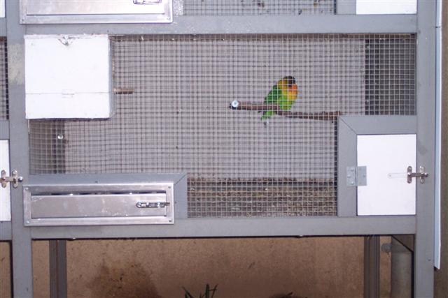 100_1123 (Small).JPG