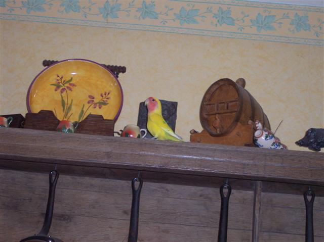 100_5230 (Small).JPG