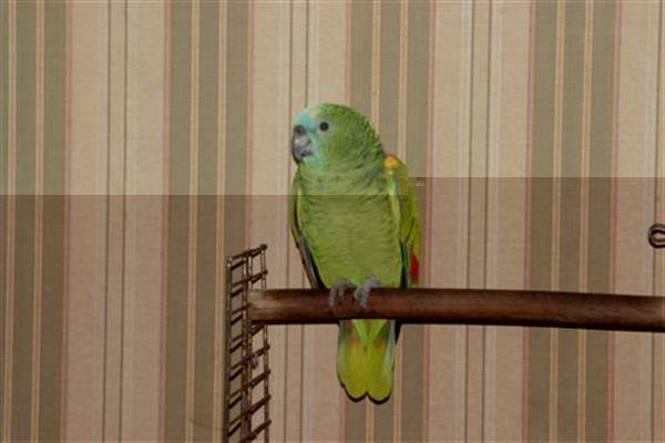 IMG_9988 (Custom) (Custom).JPG