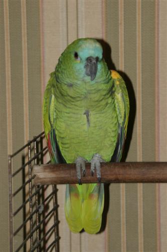 IMG_9990 (Custom).JPG