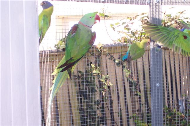 11.02.2008 2 (Small).JPG