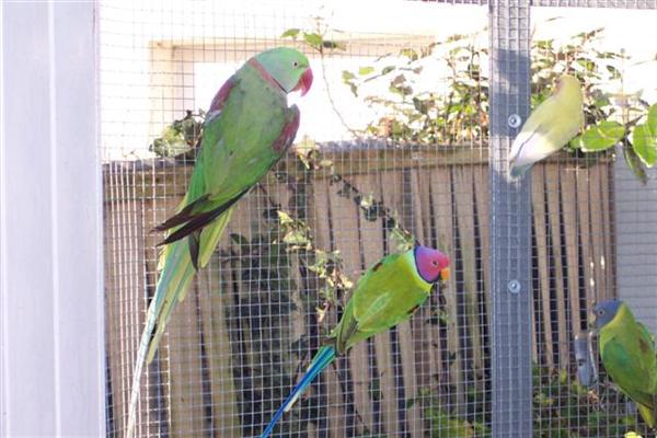 11.02.2008 3 (Small) (Custom).JPG