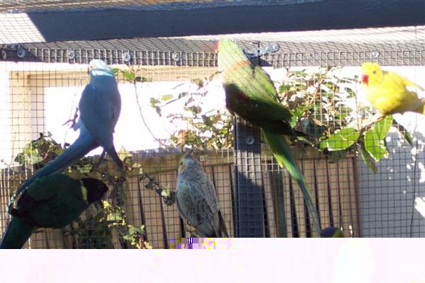 11.02.2008 6 (Small) (Custom).JPG