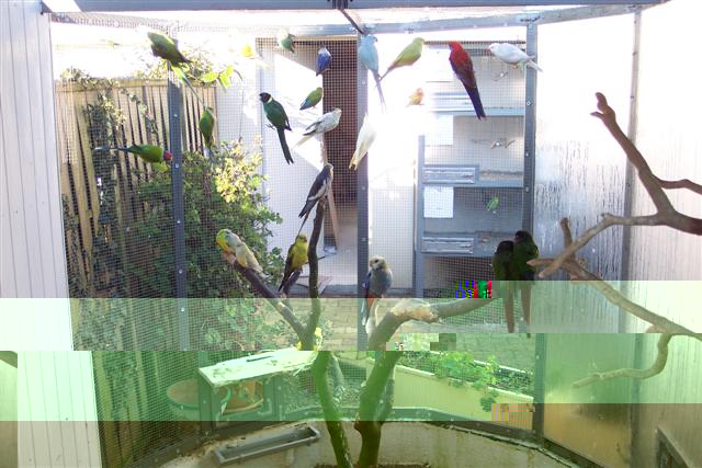 11.02.2008 7 (Small).JPG