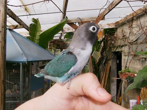 petit perso.jpg 2.jpg