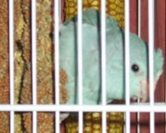 SSA50001 (Small).JPG