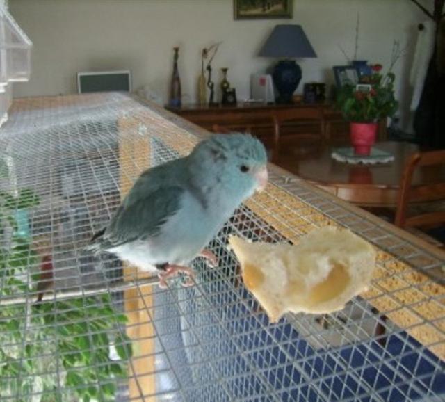 SSA50023 (Small).JPG