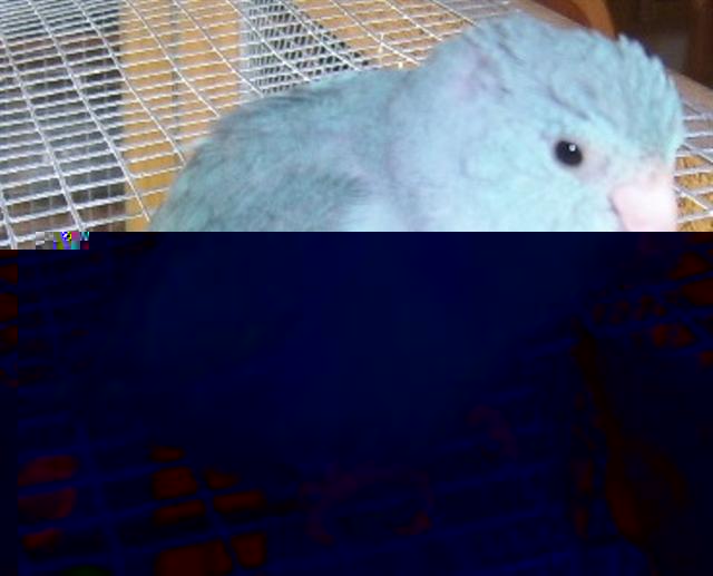 SSA50024 (Small).JPG