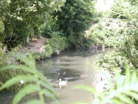 Parc AnatidÃ©s 2.JPG