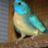 P2100010 [320x200].JPG