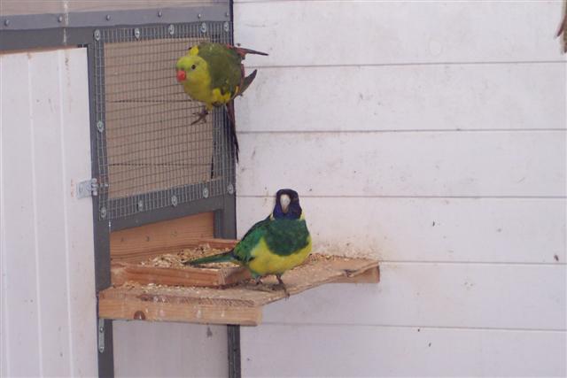 100_1058 (Small).JPG