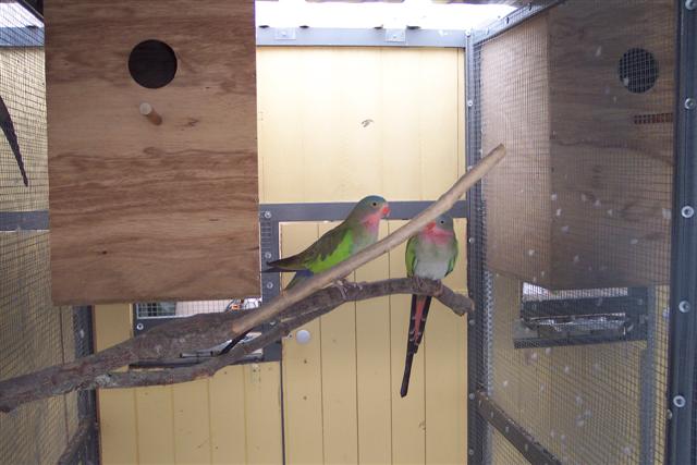 100_1093 (Small).JPG