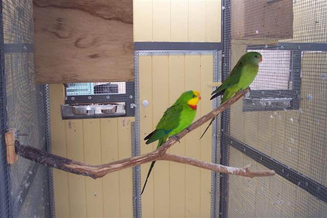 100_1094 (Small).JPG