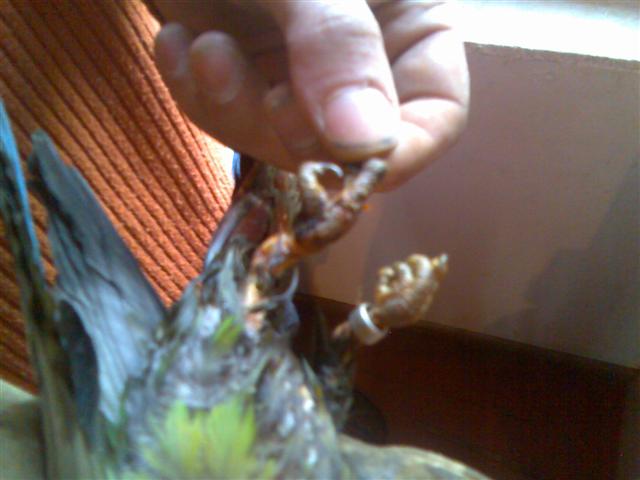 Photo000 (Small).jpg