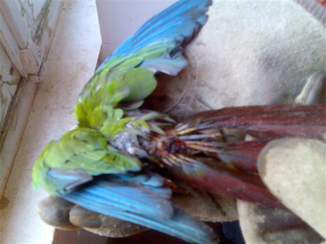 Photo003 (Small).jpg