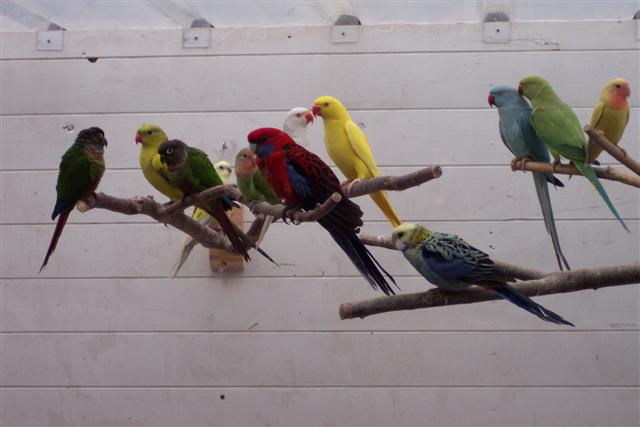 100_1053 (Small).JPG