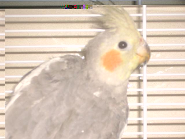 Gazou 05 (Small).JPG