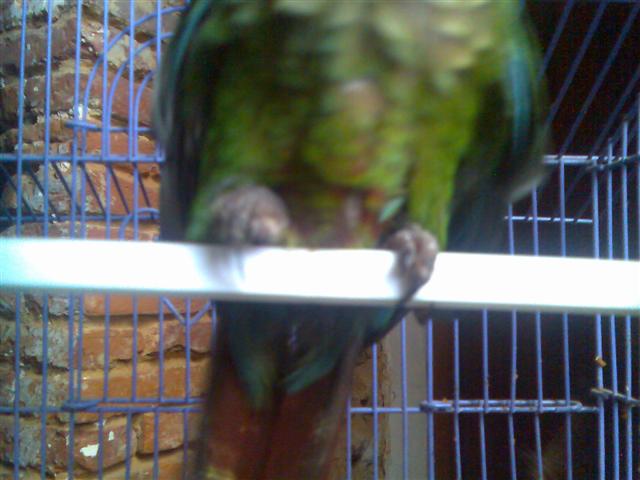 le lendemain (Small).jpg