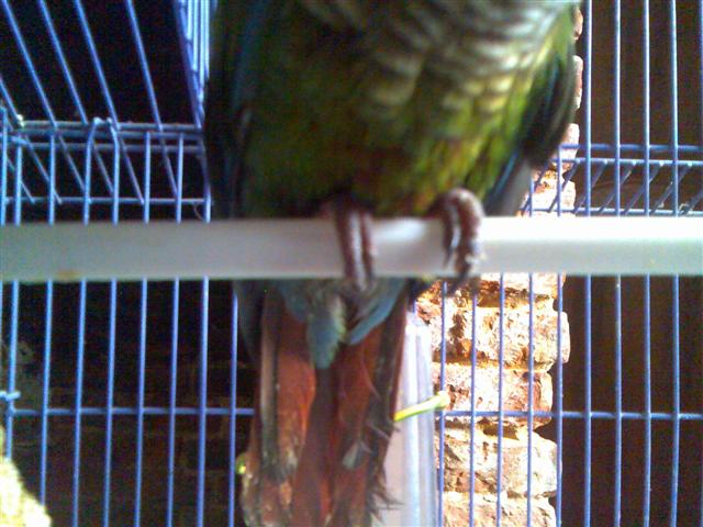 aujourdhui (Small).jpg