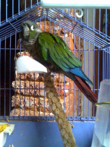 Photo014 (Small).jpg