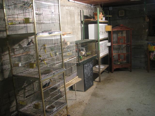 20080106_SOPHIE_0000 (Small).JPG