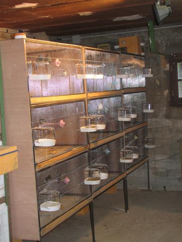 20080114_BATTERIES_ (2) (Small).JPG