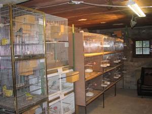 20080114_BATTERIES_ (3) (Small) (Small) (Custom).JPG