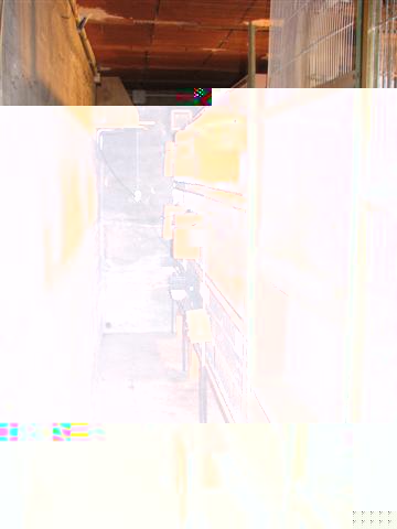 20080114_BATTERIES_ (5) (Small).JPG