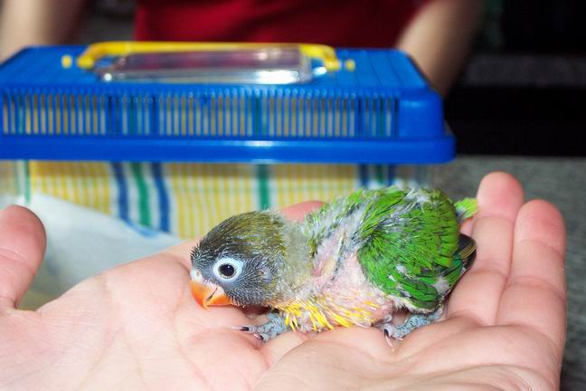 Resize of DCP_0054.JPG