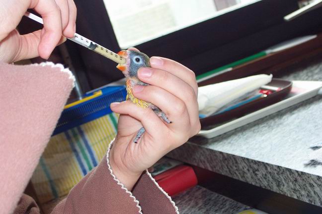 Resize of DCP_0039.JPG