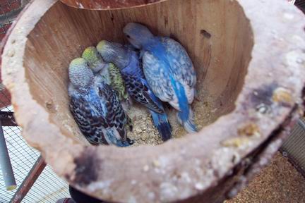 Resize of DCP_0070.JPG