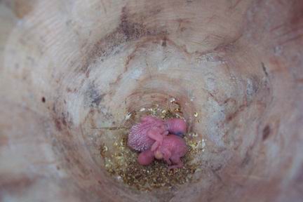 Resize of DCP_0067.JPG