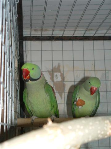 DSCF0023 (Small).JPG